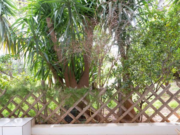 Vouliagmeni'S Secret Garden Near The Sea Lägenhet Aten Exteriör bild